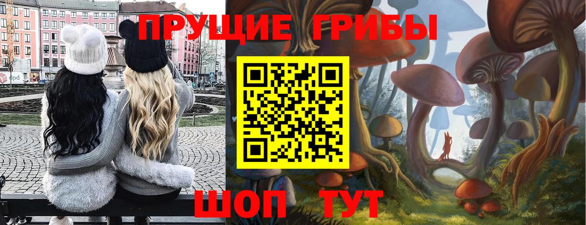 Псилоцибиновые грибы прущие грибы  Вход с VPN  Псилоцибиновые грибы Cubensis  Тара 