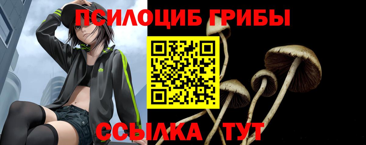 Галлюциногенные грибы Cubensis Тара